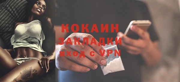 мяу мяу мука Белокуриха