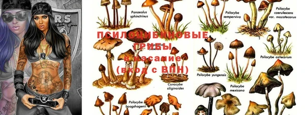 прущие крисы Ростов