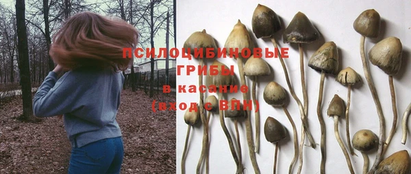 ALPHA PVP Богородск