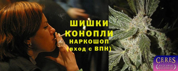 мяу мяу мука Белокуриха