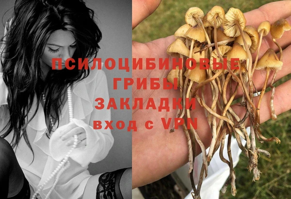 мяу мяу мука Белокуриха