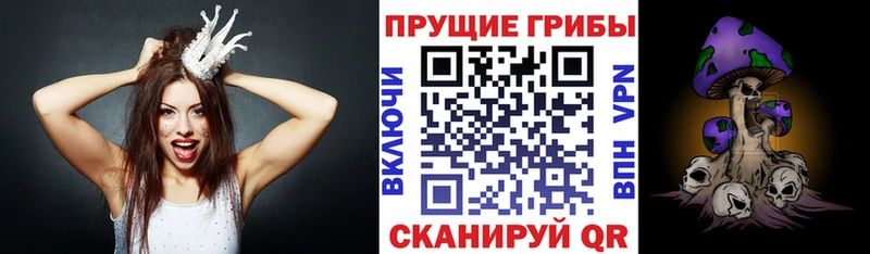 магазин продажи   Калининец  Псилоцибиновые грибы мицелий 